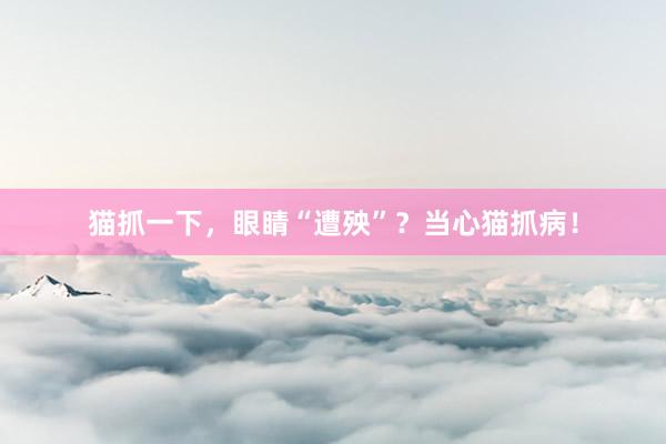 猫抓一下，眼睛“遭殃”？当心猫抓病！