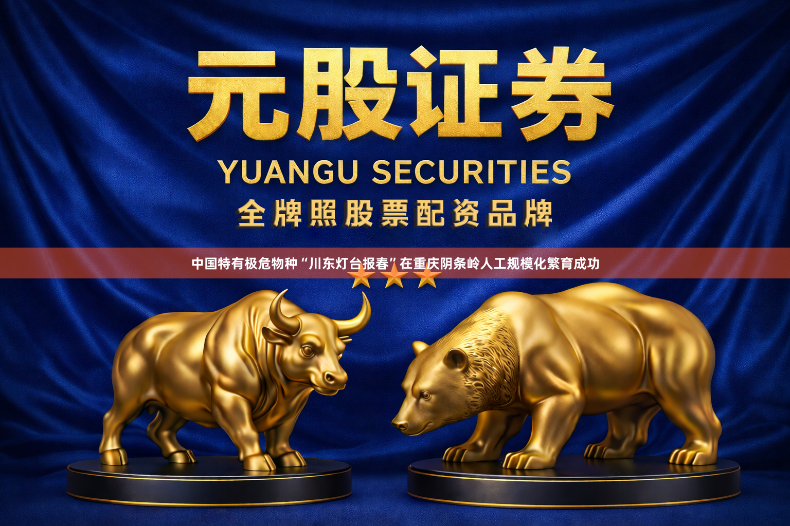 中国特有极危物种“川东灯台报春”在重庆阴条岭人工规模化繁育成功